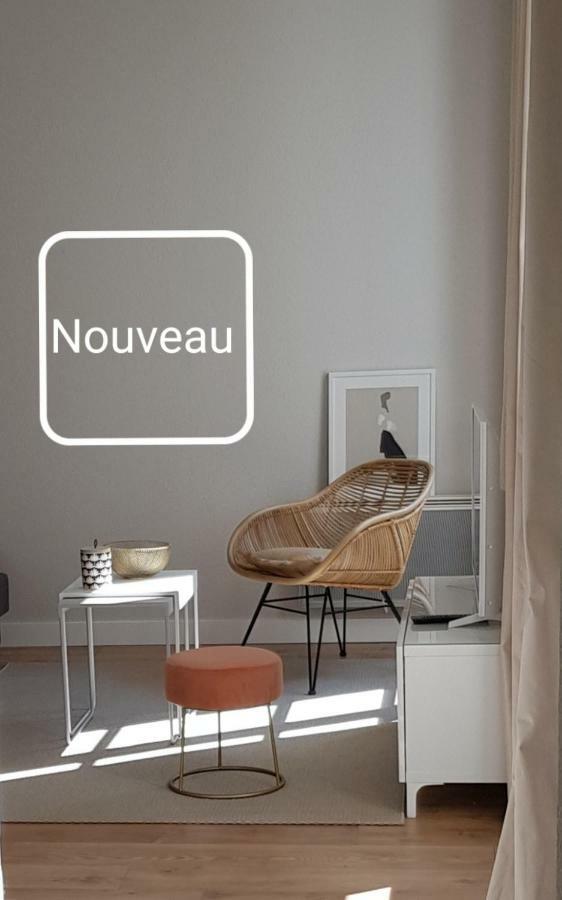 Le Voltaire Colmar Centre Apartment Luaran gambar